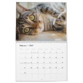 Calendrier 2025 (Feb 2027)
