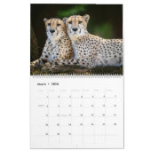 Calendrier 2025 (Mar 2026)