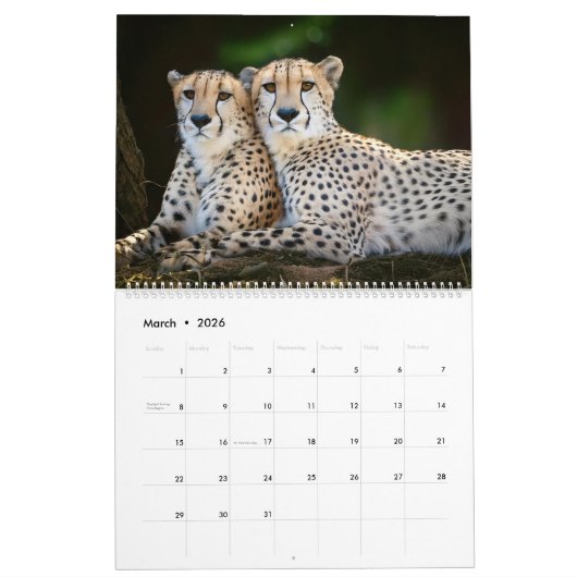 Calendrier 2025 (Mar 2026)