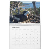 Calendrier 2025-2026 des Aigles Gros Ours (Jan 2027)