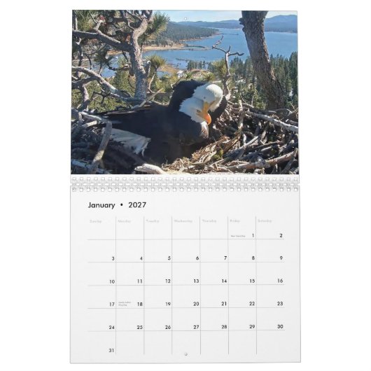 Calendrier 2025-2026 des Aigles Gros Ours (Jan 2027)