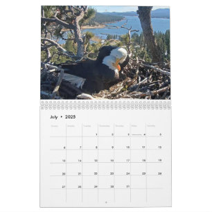 Calendrier 2025-2026 des Aigles Gros Ours