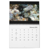 Calendrier 2025 Ancient Waters Edition Photo : Ruines&Artefac (Feb 2026)