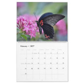 Calendrier 2025 avec papillons papillons (Feb 2027)