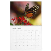 Calendrier 2025 avec papillons papillons (Jan 2026)