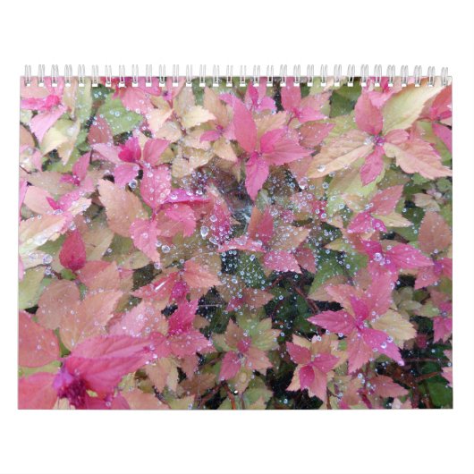 Calendrier 2025 avec photos nature (Protection)