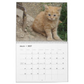 Calendrier 2025 Beaux Chats Oranges (Mar 2027)