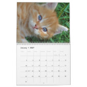 Calendrier 2025 Beaux Chats Oranges (Jan 2027)