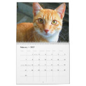 Calendrier 2025 Beaux Chats Oranges (Feb 2027)
