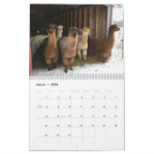 Calendrier 2025 - Bonjour Bluebirds photos de ferm (Mar 2026)