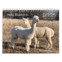 Calendrier 2025 - Bonjour Bluebirds photos de ferm