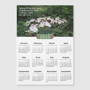 Calendrier 2025 Caladium photo Promo Magnet