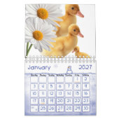 Calendrier 2025 Canards Daisy Floral (Jan 2027)