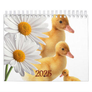 Calendrier 2025 Canards Daisy Floral