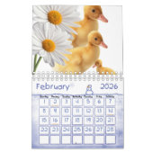Calendrier 2025 Canards Daisy Floral (Feb 2026)