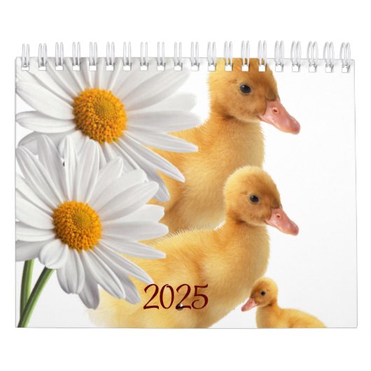 Calendrier 2025 Canards Daisy Floral (Protection)