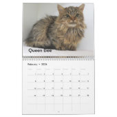 Calendrier 2025 Chats de l'Oklahoma City Animal Shelter (Feb 2026)