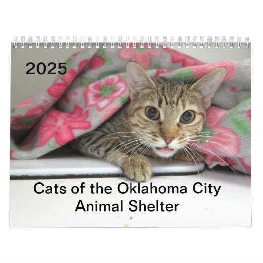 Calendrier 2025 Chats de l'Oklahoma City Animal Shelter (Protection)