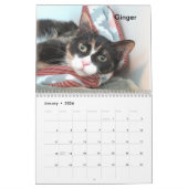 Calendrier 2025 Chats de l'Oklahoma City Animal Shelter (Jan 2026)