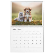 Calendrier 2025, chien&chat (Mar 2027)