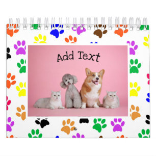 Calendrier 2025 de 13 photos de animaux de compagn