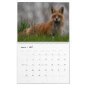 Calendrier 2025 de la faune et du paysage (Mar 2027)