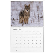 Calendrier 2025 de la faune et du paysage (Jan 2027)