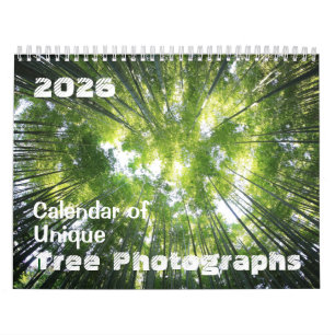Calendrier 2025 de la Personnaliser des photograph