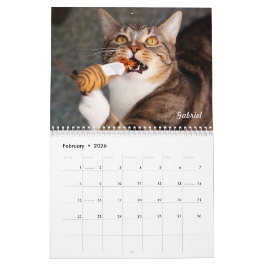 Calendrier 2025 des chats à fleurs Amanda (Feb 2026)