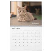 Calendrier 2025 des chats à fleurs Amanda (Mar 2027)