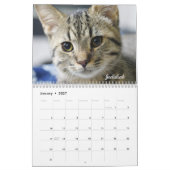 Calendrier 2025 des chats à fleurs Amanda (Jan 2027)