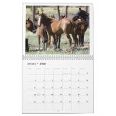 Calendrier 2025 Des Chevaux Sauvages Pour Soutenir (Jan 2026)