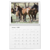 Calendrier 2025 Des Chevaux Sauvages Pour Soutenir (Jan 2027)