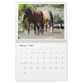 Calendrier 2025 Des Chevaux Sauvages Pour Soutenir (Feb 2027)