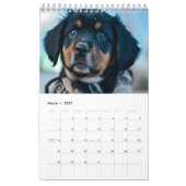 Calendrier 2025 des chiots (Mar 2027)