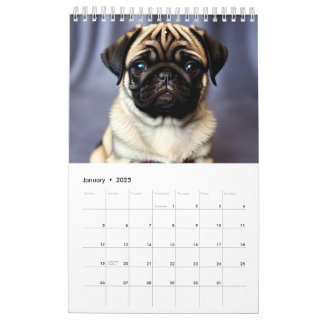 Calendrier 2025 des chiots