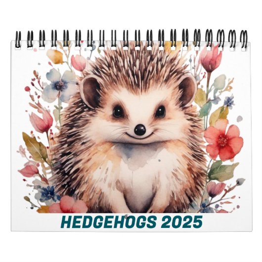 CALENDRIER 2025 DES HÉRISSONS MIGNONS (Protection)