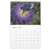 Calendrier 2025 des meilleurs hybrides d'éléphants (Feb 2026)