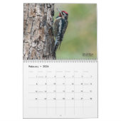 Calendrier 2025 des oiseaux de pic (Feb 2026)
