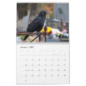 Calendrier 2025 du corbeau (Jan 2027)