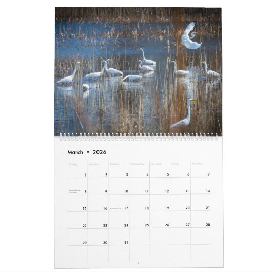 Calendrier 2025 du Delaware côtier (Mar 2026)