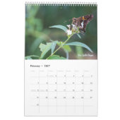Calendrier 2025 du papillon d'une page (Feb 2027)