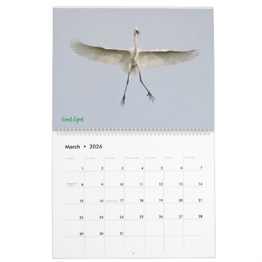 Calendrier 2025 Egrets (Mar 2026)