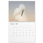 Calendrier 2025 Egrets (Feb 2026)