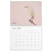 Calendrier 2025 Egrets (Jan 2026)