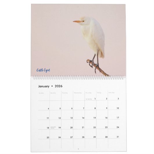 Calendrier 2025 Egrets (Jan 2026)