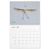 Calendrier 2025 Egrets (Mar 2027)