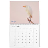 Calendrier 2025 Egrets (Jan 2027)