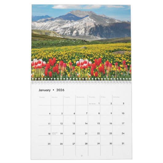 Calendrier 2025 Fleurs classées 3 (Jan 2026)