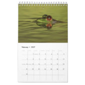 Calendrier 2025 Frog One Page Wall Calendar (Feb 2027)